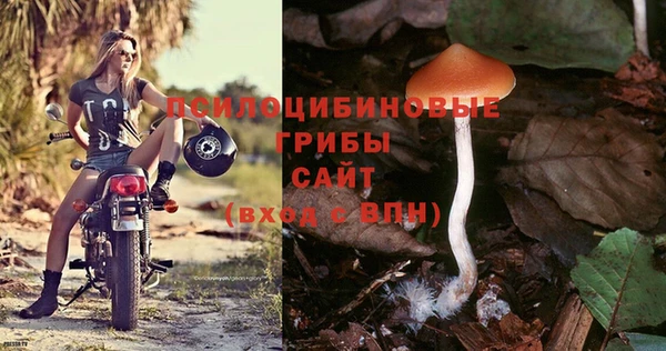 трава Абаза