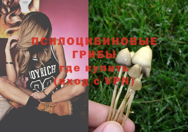 трава Абдулино