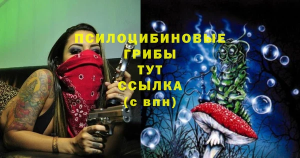 трава Абаза