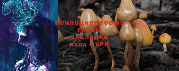 скорость Осинники