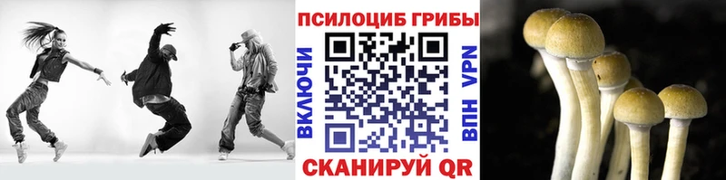Галлюциногенные грибы Psilocybe Южа