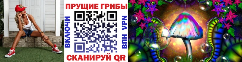 купить наркоту  Южа  Псилоцибиновые грибы GOLDEN TEACHER 